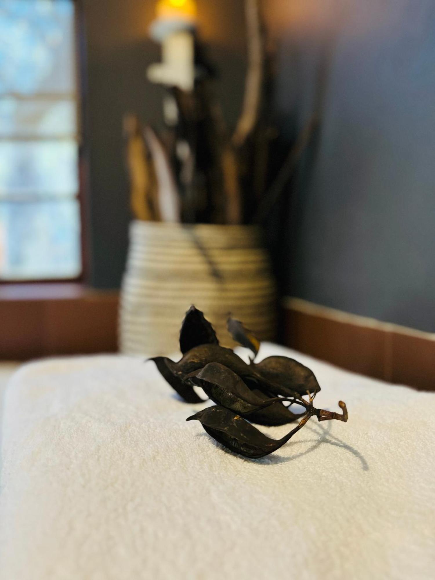 Megumi - Vaal Riverside Retreat - Loadshedding Friendly パリス エクステリア 写真